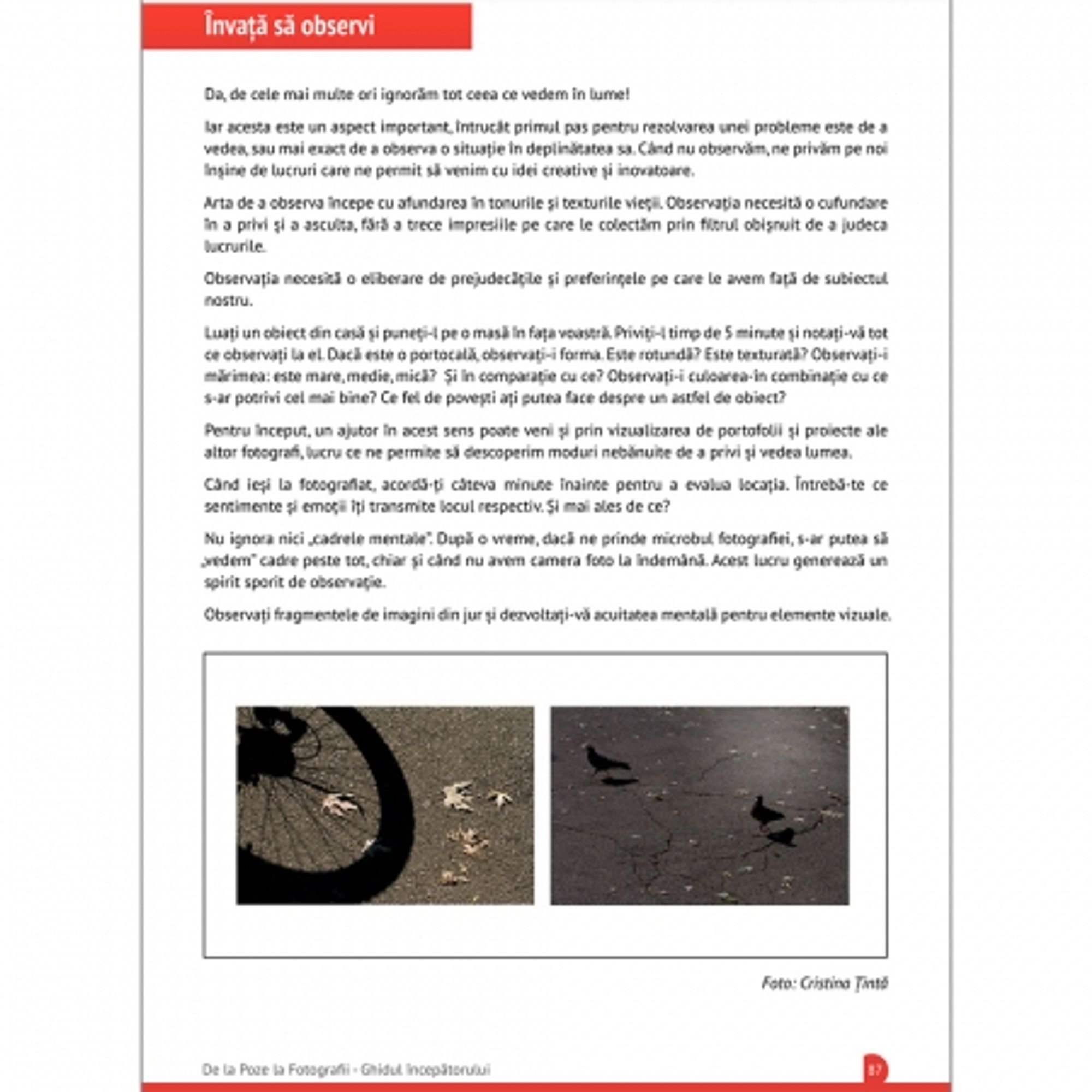 E Book De La Poze La Fotografii F64 Studio